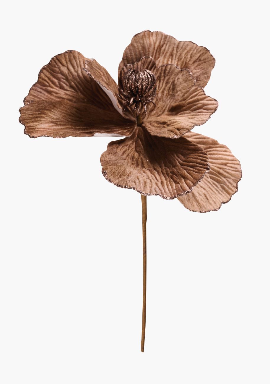 Pynt ørkenrosa - 9,5x6,5x33,5 cm ørkenrosa - 1