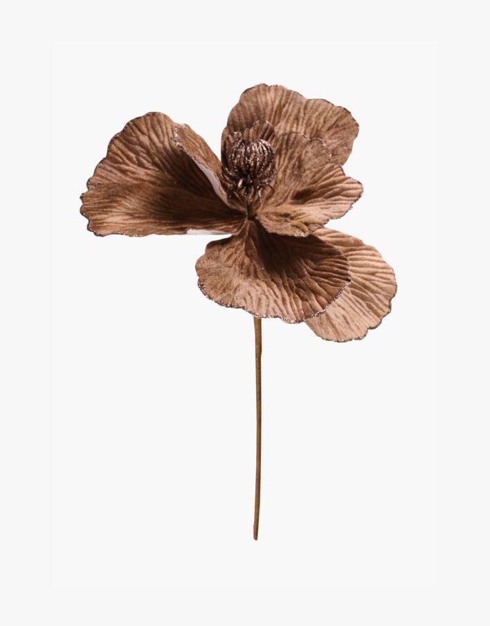 Pynt ørkenrosa - 9,5x6,5x33,5 cm ørkenrosa - 1