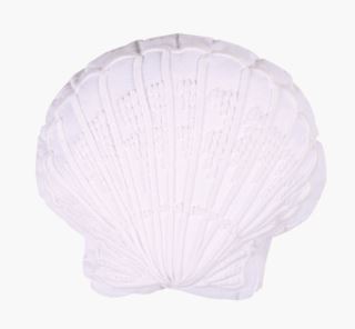 Kid Seashell Pyntepute Hvit 38x36x5 cm