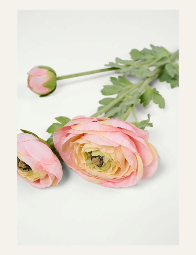 Blomst lys korall - 2