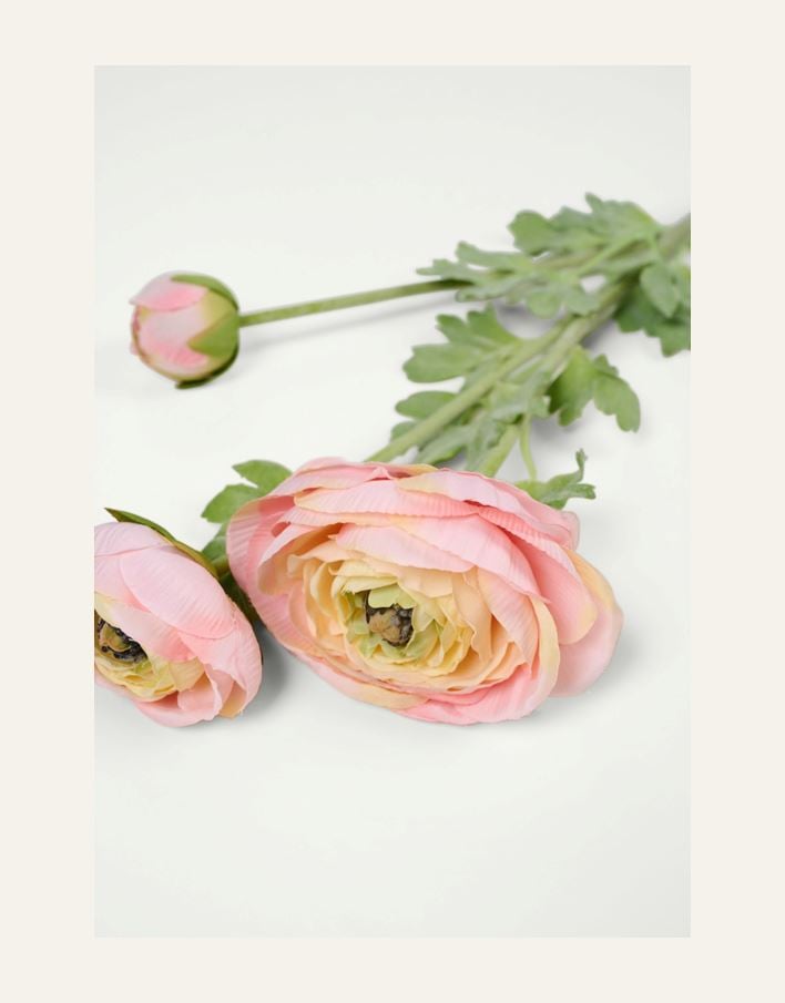 Blomst lys korall - 2