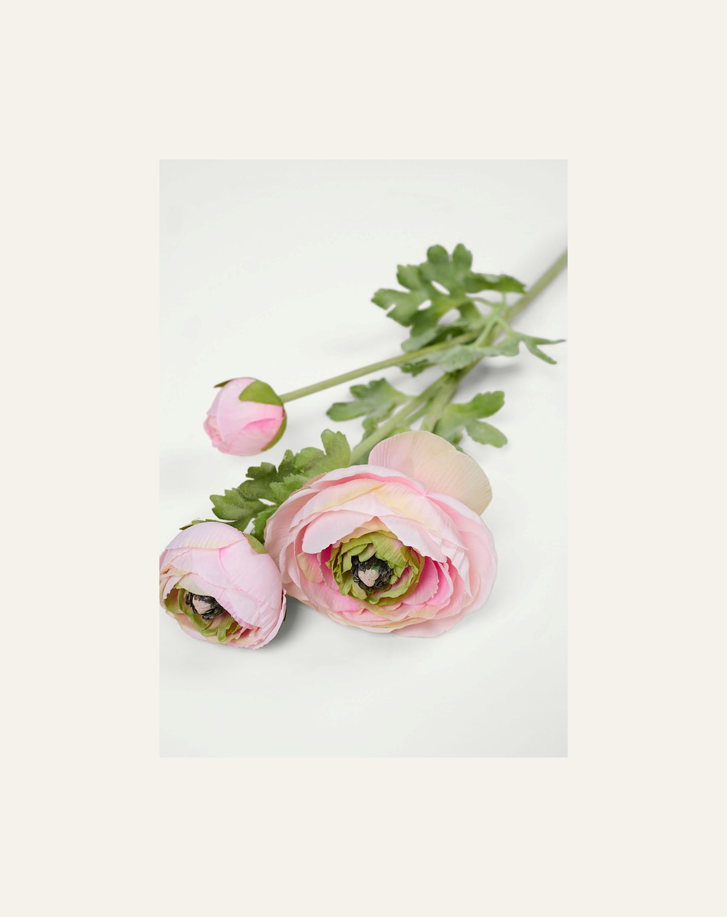 Blomst rosa - 2