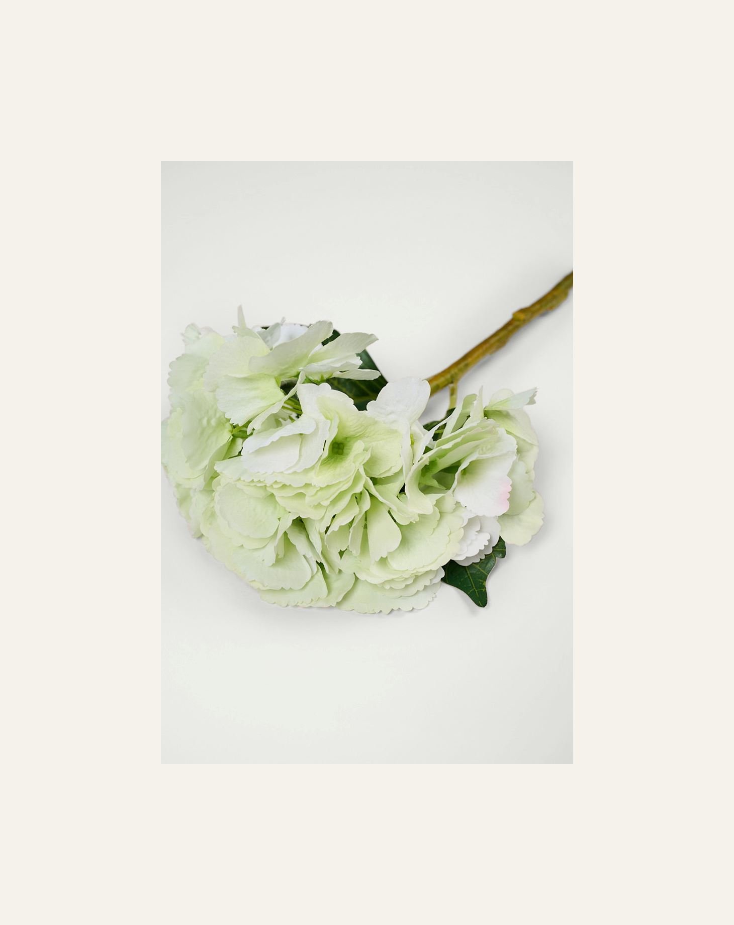 Blomst lys grønn - 2