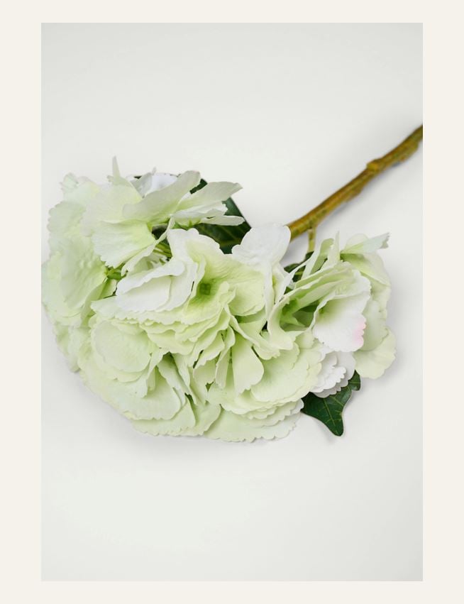 Blomst lys grønn - 2