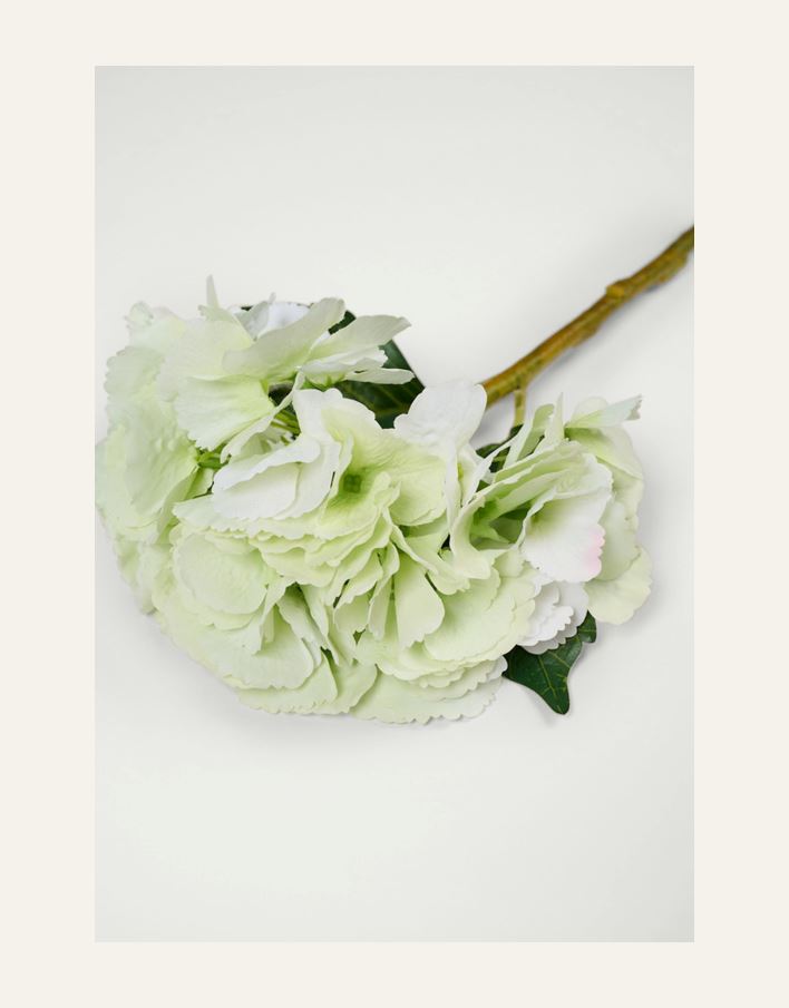 Blomst lys grønn - 2