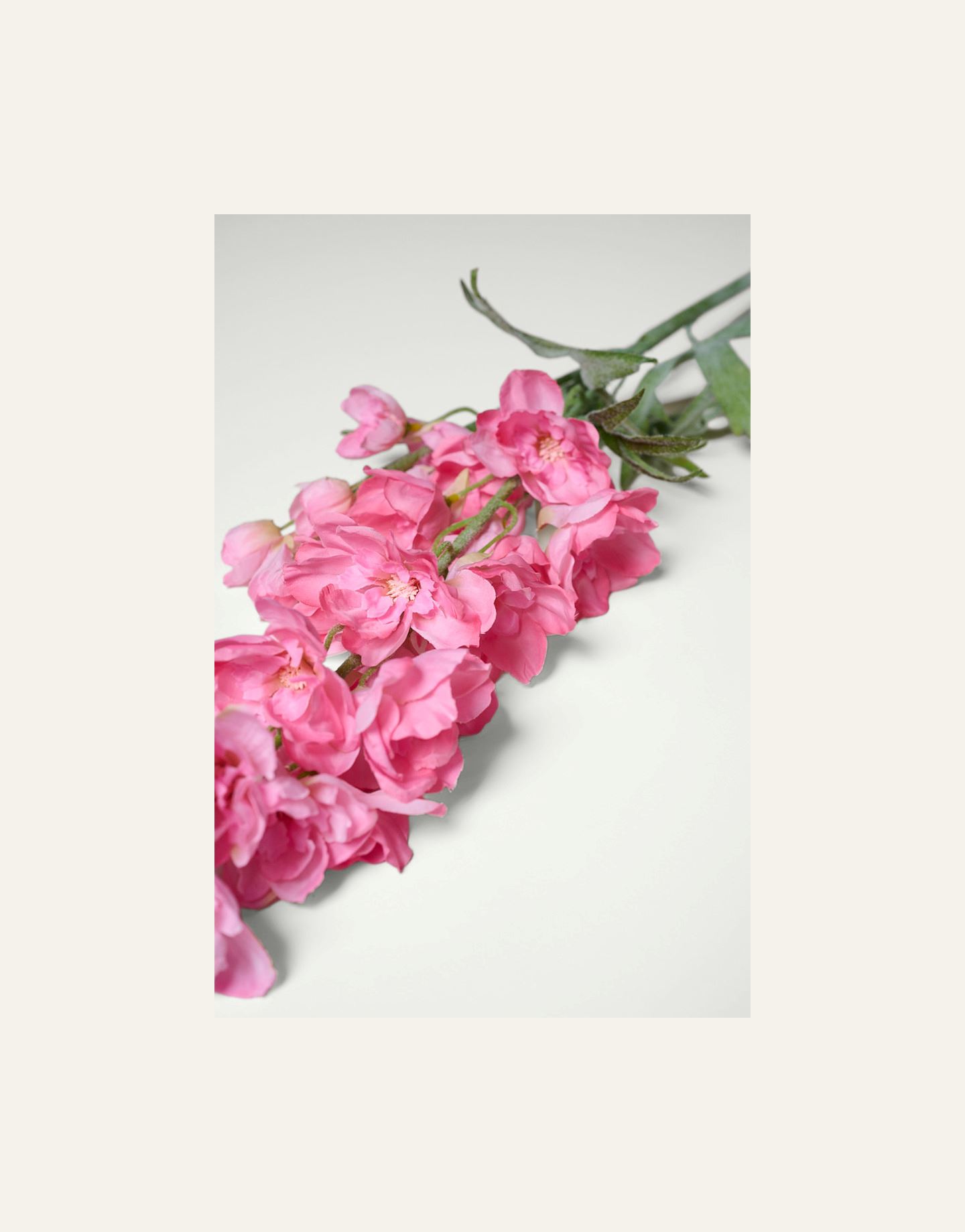 Blomst rosa - 2
