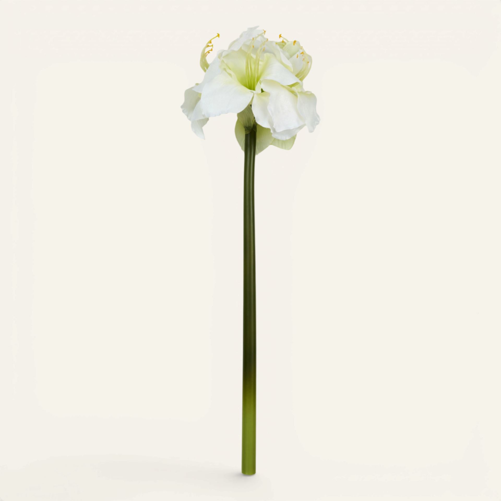 Blomst hvit - 25x22x61 cm hvit - 1