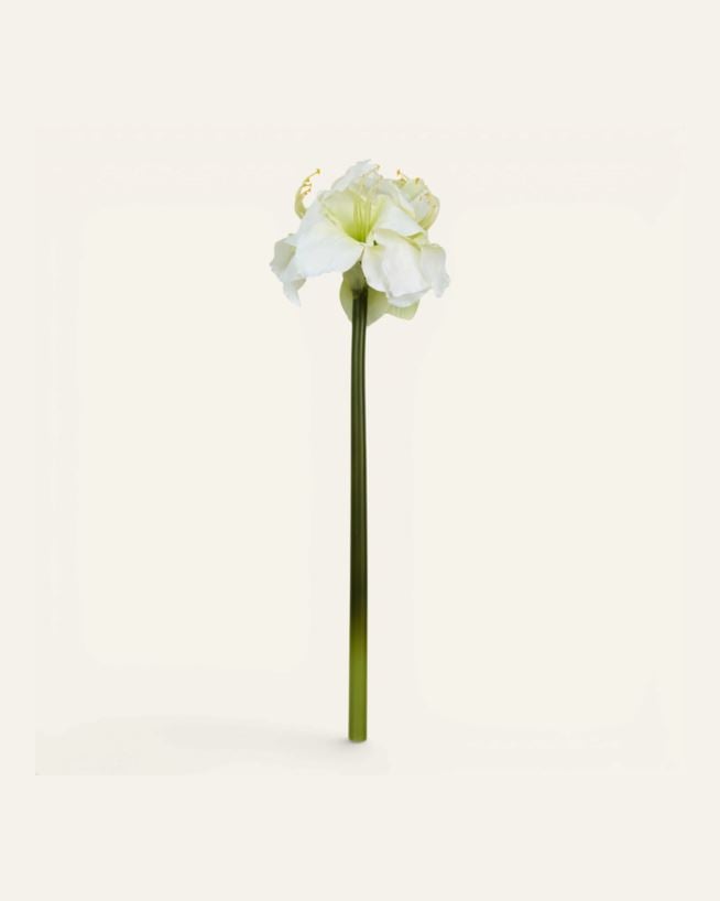 Blomst hvit - 25x22x61 cm hvit - 1
