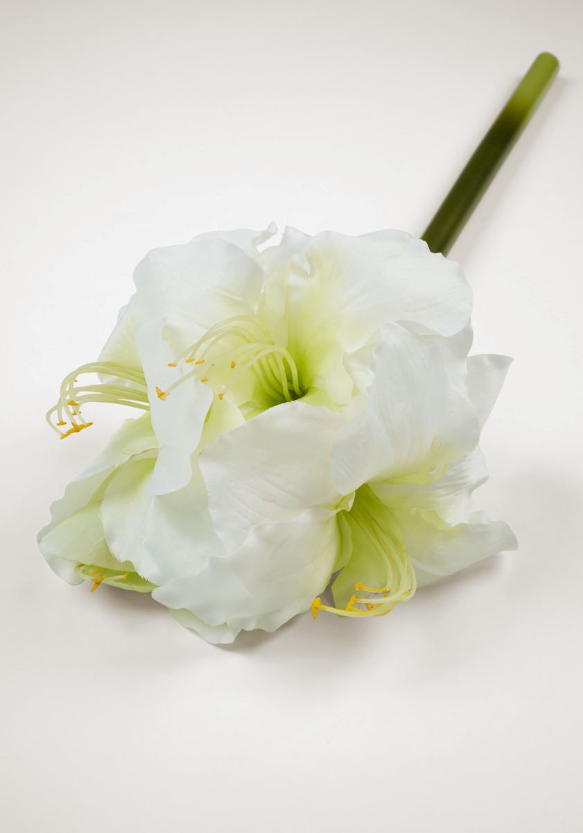 Blomst hvit - 2