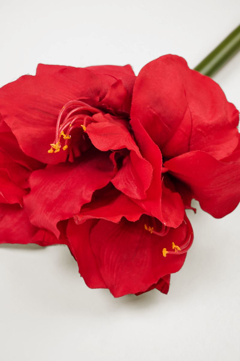Blomst rød - 2