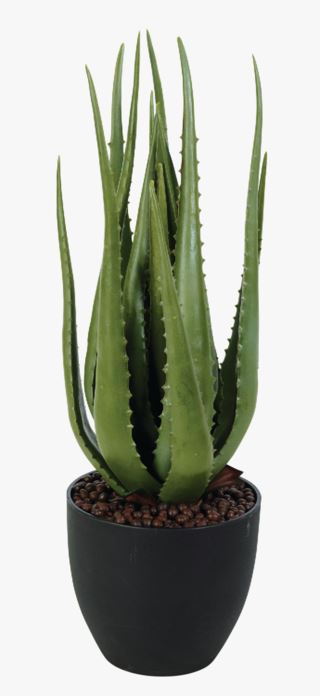 Kid Tasu Plante Grønn 58 cm