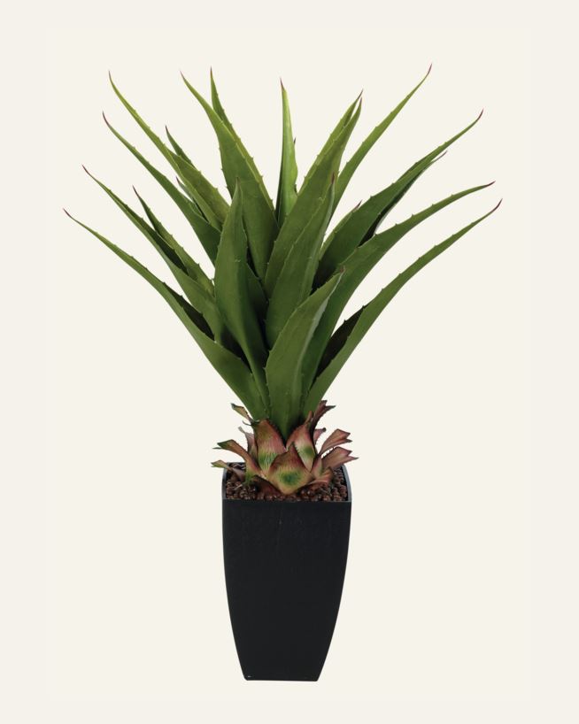 Plante grønn - 75 cm grønn - 1