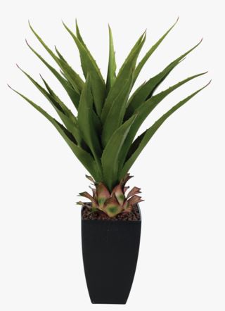 Kid Tuk Plante Grønn 75 cm