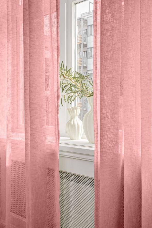 Gardin engelsk rose - 2