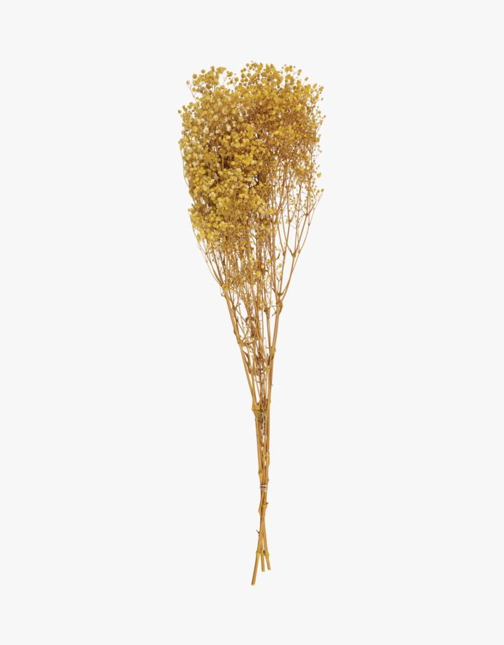 Plante gul - 80 cm gul - 1