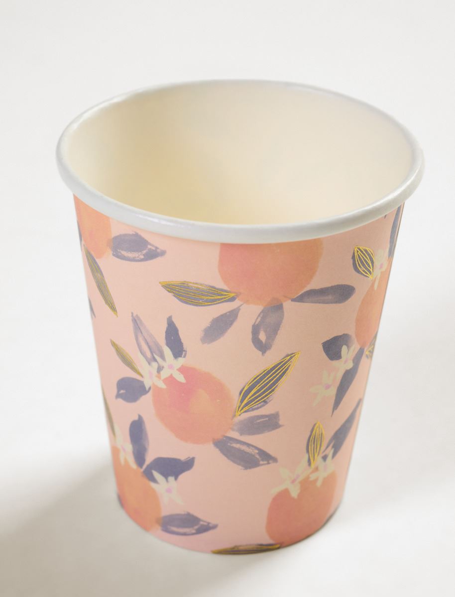 Pappkopp 8pk multi - 250 ml multi - 1