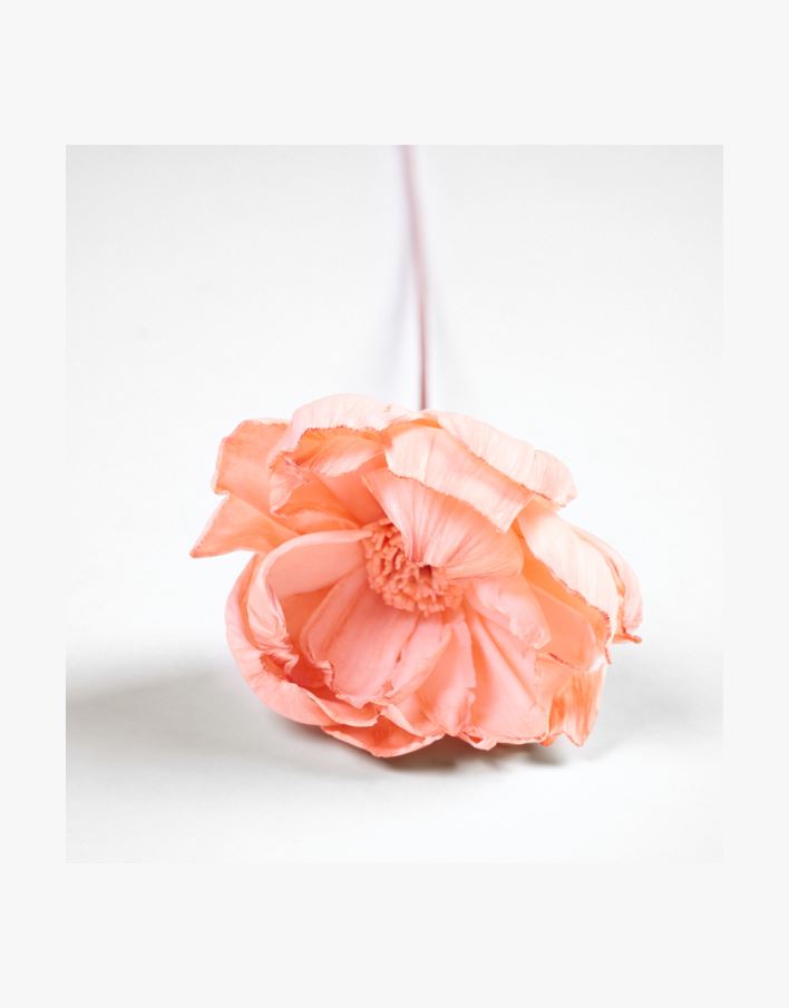 Tørkede blomster korall - 60 cm korall - 1