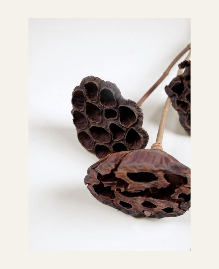 Tørkede blomster natur - 60 cm natur - 1