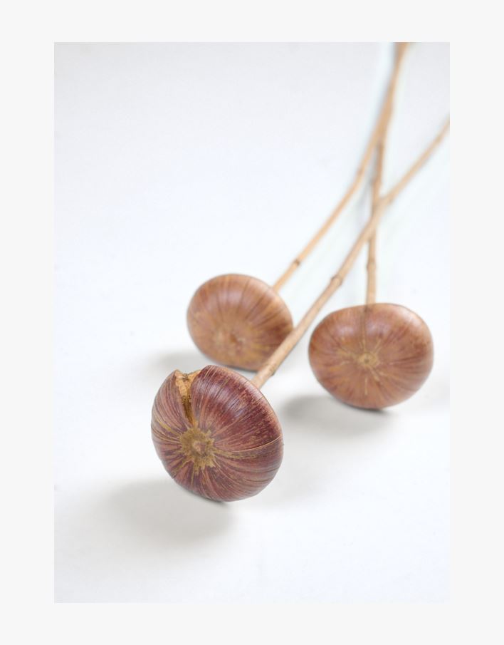 Tørkede blomster natur - 60 cm natur - 1