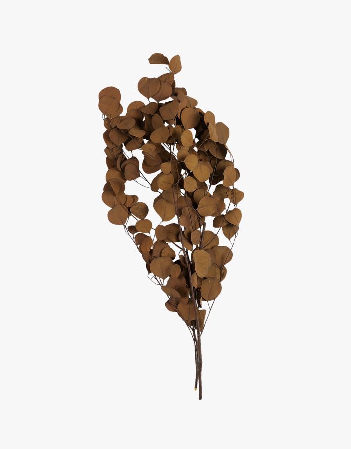 Kvist brun - 70 cm brun - 1