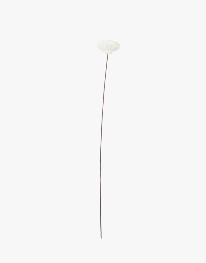 Tørkede blomster offwhite - 63 cm offwhite - 1