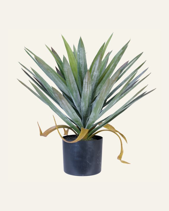 Plante grønn - 41x41x48 cm grønn - 1