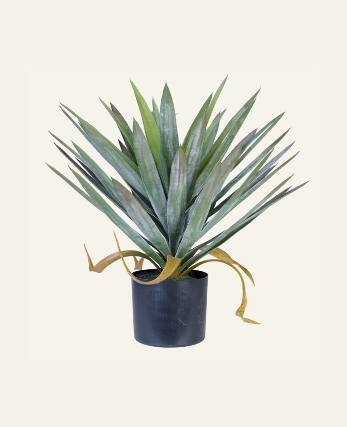 Plante grønn - 41x41x48 cm grønn - 1