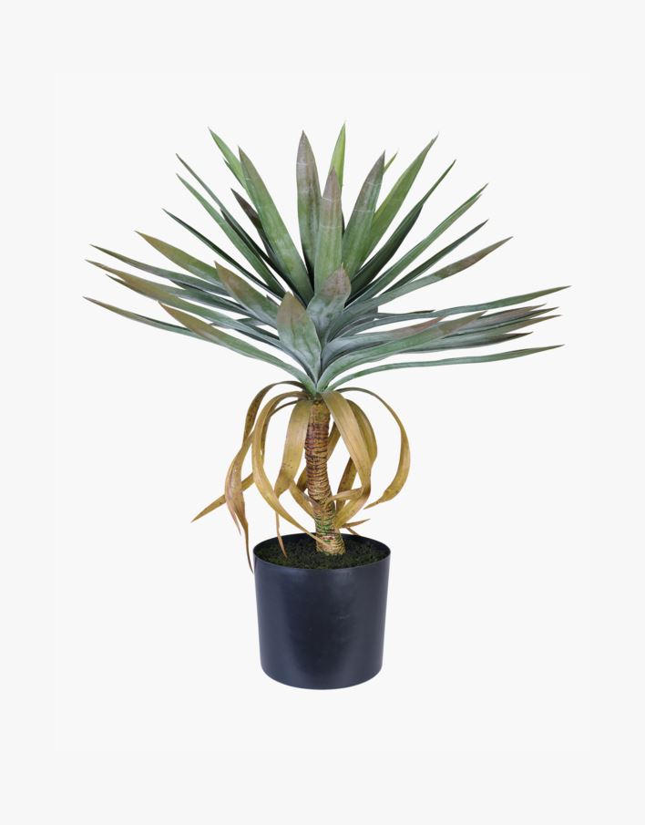 Plante grønn - 47x47x75 cm grønn - 1