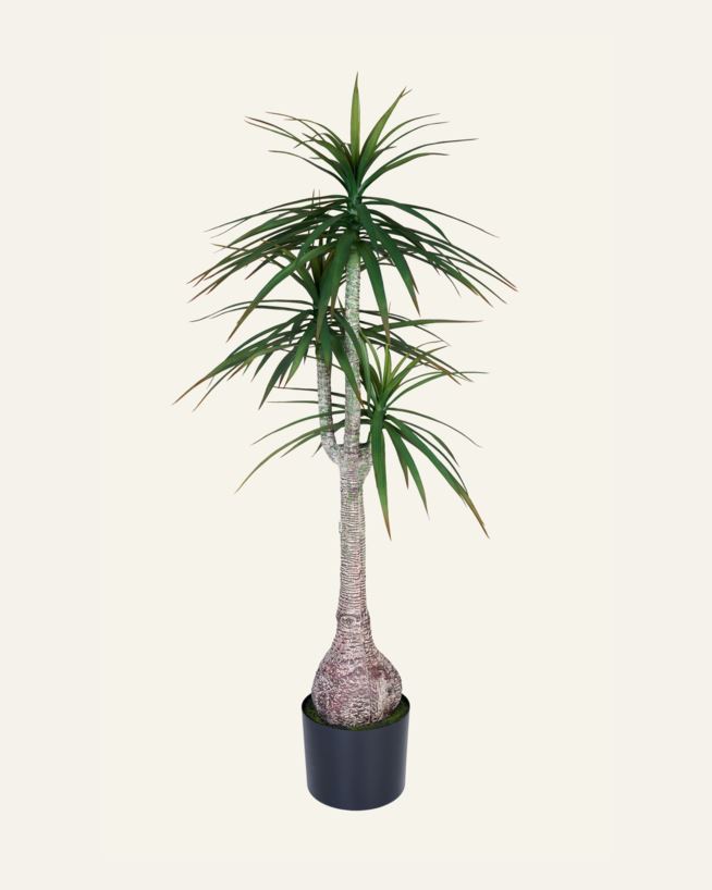Plante grønn - 60x60x147 cm grønn - 1