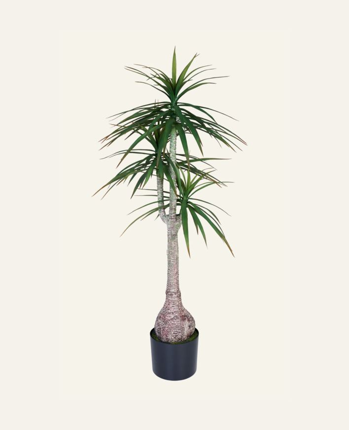 Plante grønn - 60x60x147 cm grønn - 1