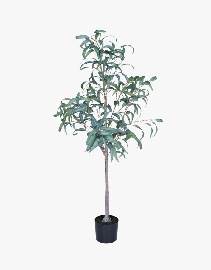 Plante grønn - 55x50x150 cm grønn - 1