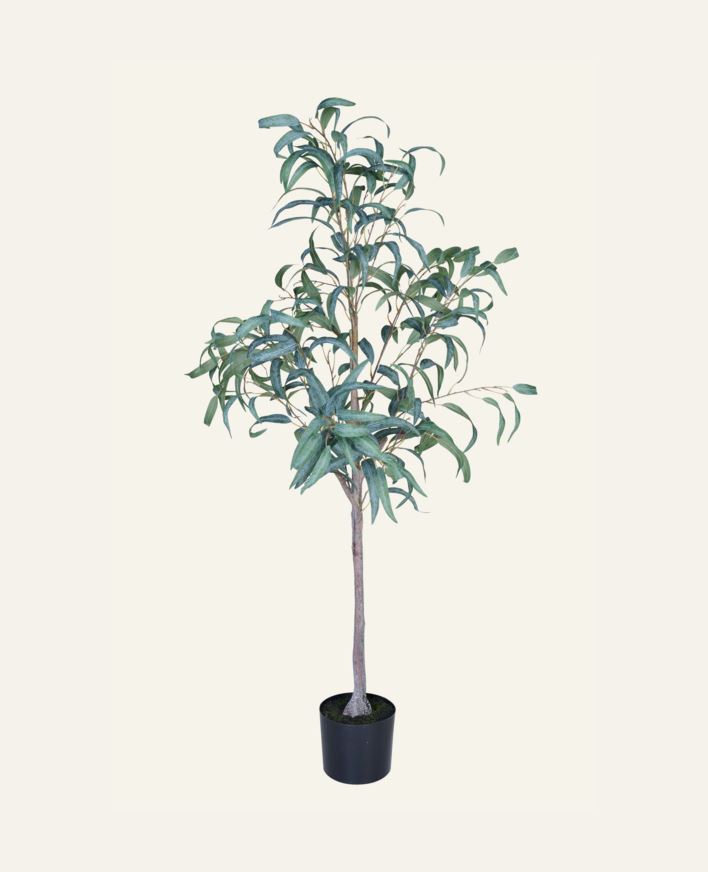 Plante grønn - 55x50x150 cm grønn - 1