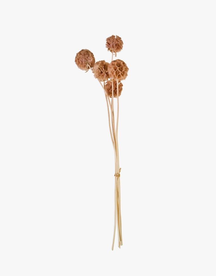 Tørkede blomster brun - 30 cm brun - 1