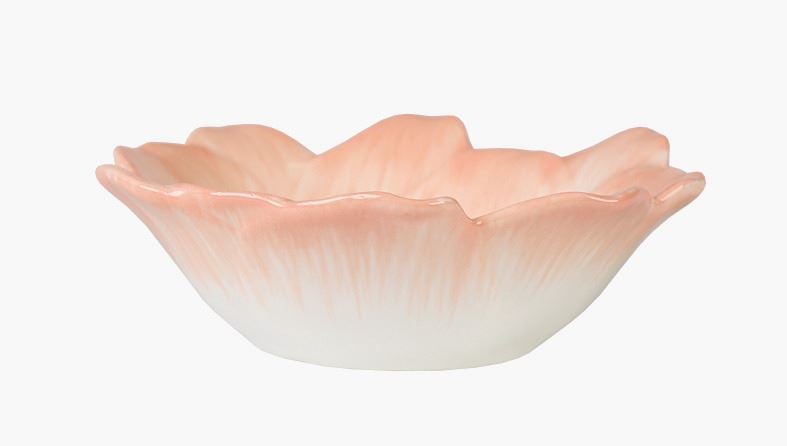 Skål korall - 2
