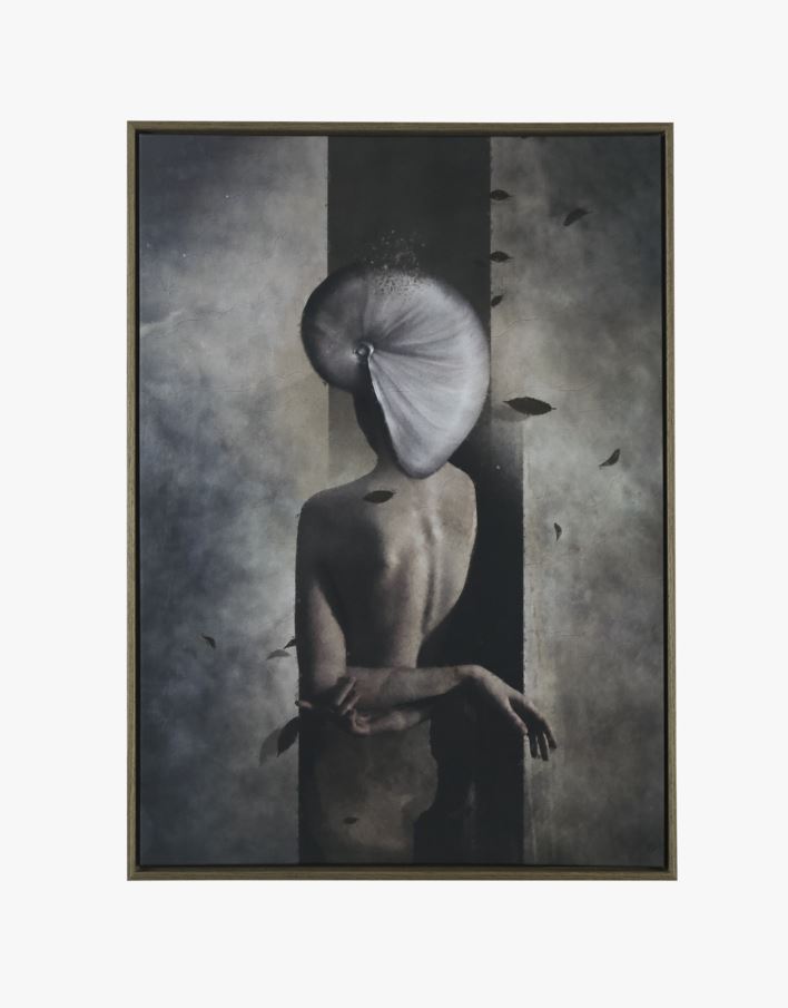 Bilde brun - 50x70 cm brun - 1