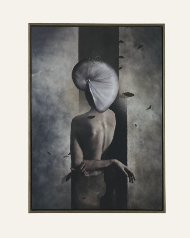 Bilde brun - 50x70 cm brun - 1