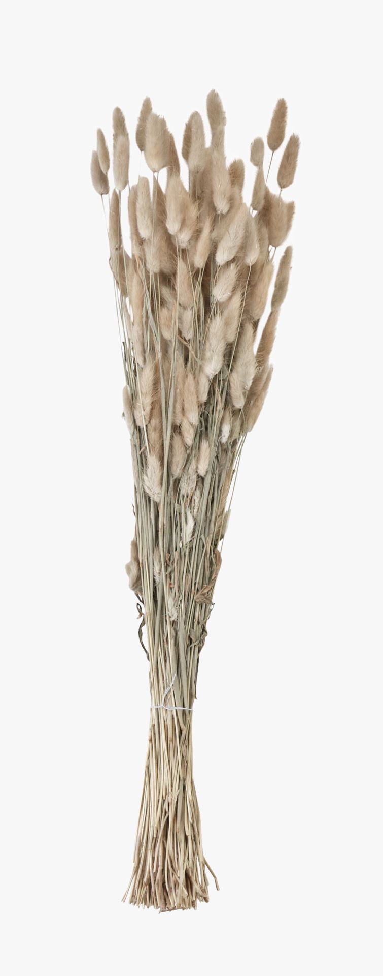 Bukett natur - 70 cm natur - 1