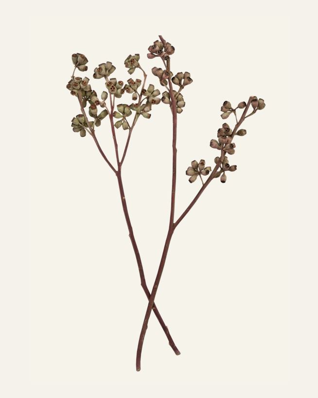 Bukett natur - 50 cm natur - 1