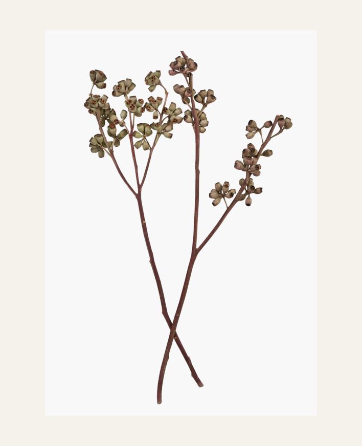 Bukett natur - 50 cm natur - 1