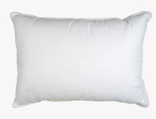 Nordun Alva Høy Dunpute Hvit 50x70 cm