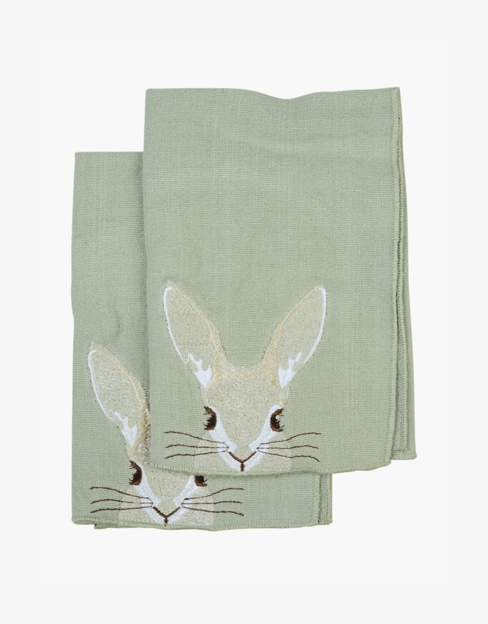 2pk tøyserviett lys grønn - 45x45 cm lys grønn - 1