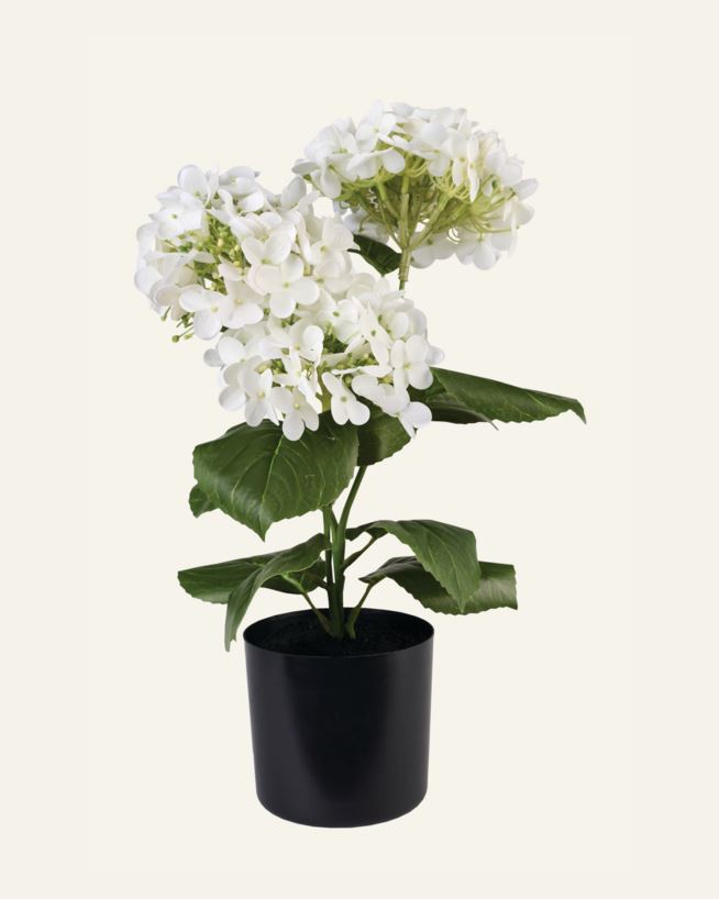 Plante hvit - 26x26x43 cm hvit - 1