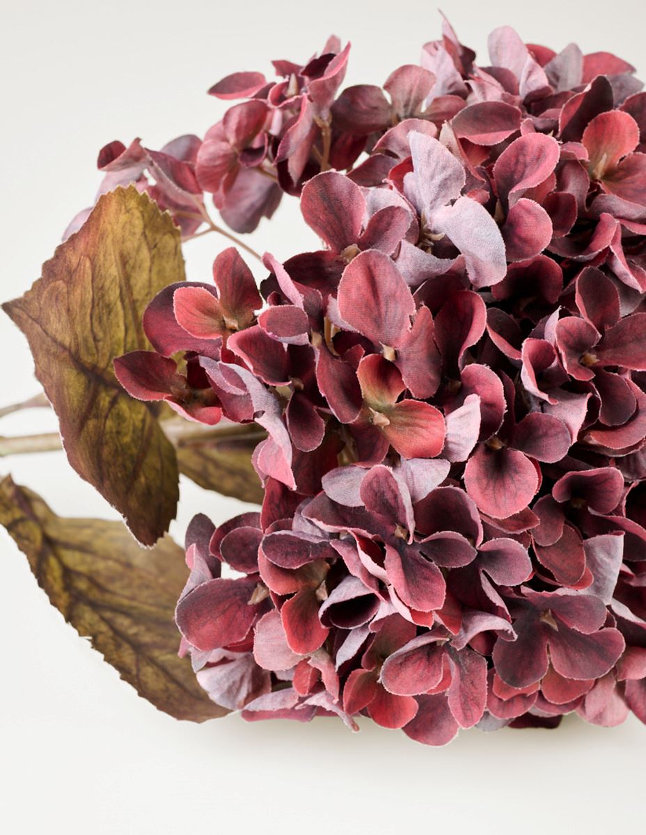 Blomst burgunder - 2