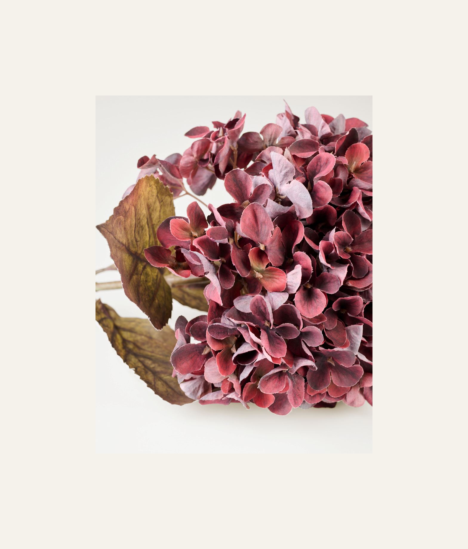 Blomst burgunder - 2