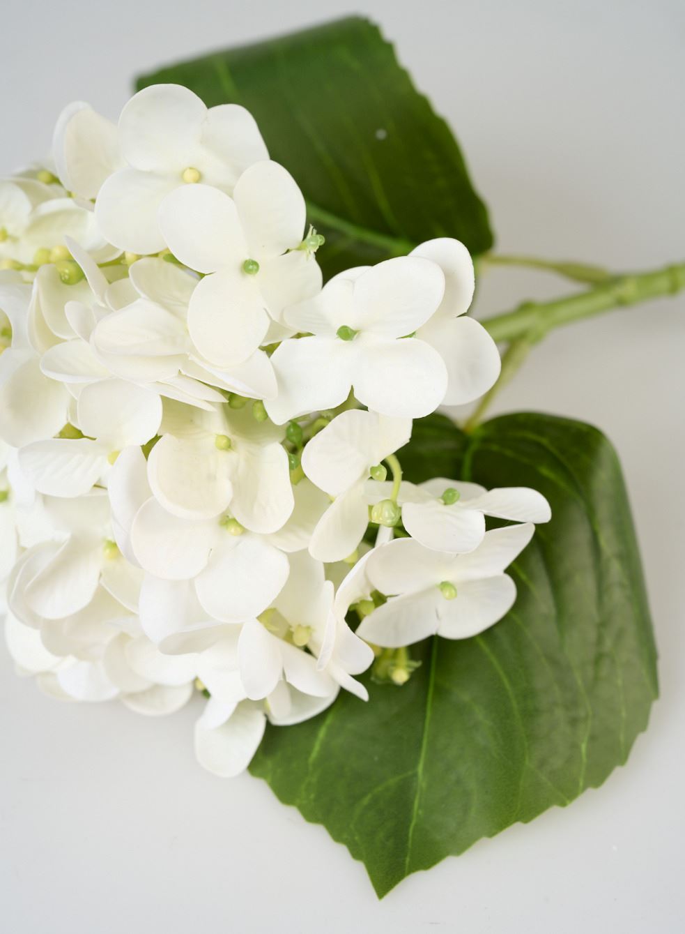 Blomst hvit - 2