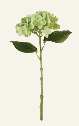 Kid Hortensia Blomst Grønn 23x16x38 cm