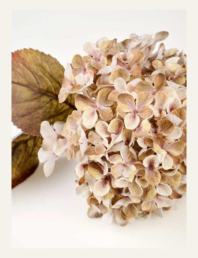 Blomst beige - 3