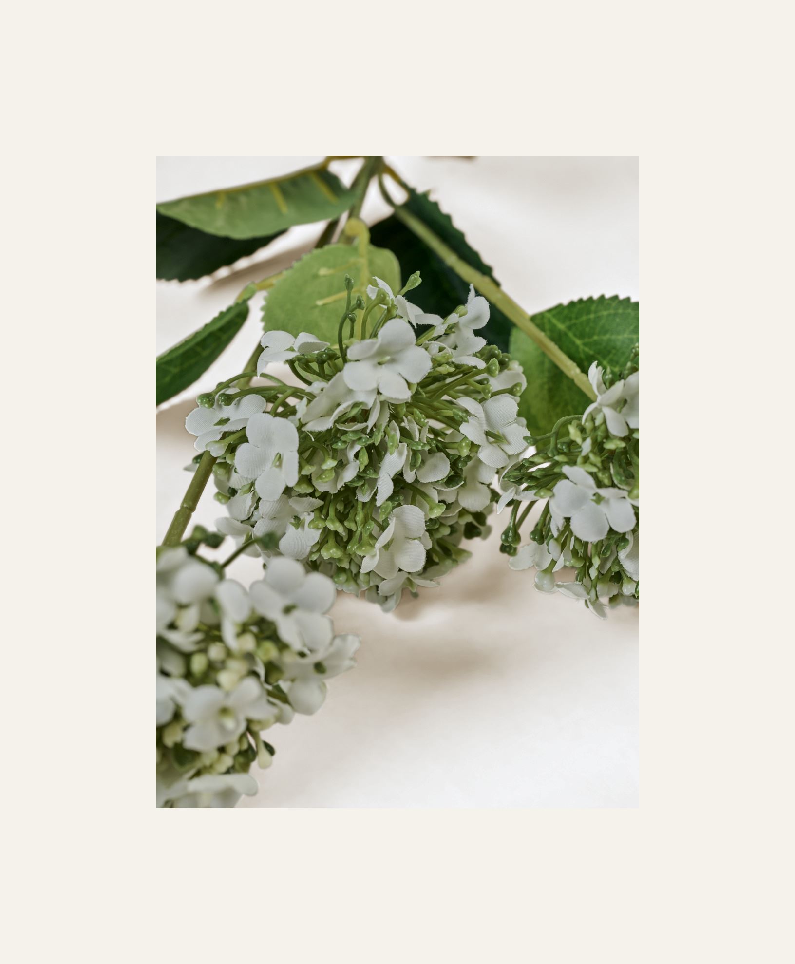 Blomst hvit - 2