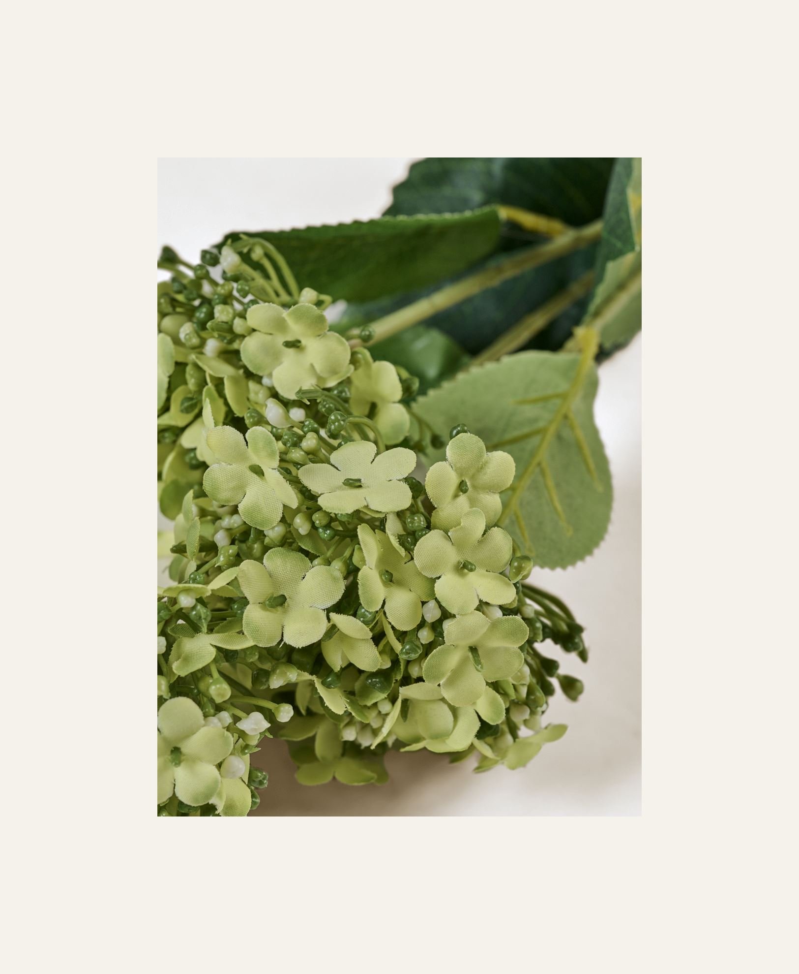 Blomst lys grønn - 2