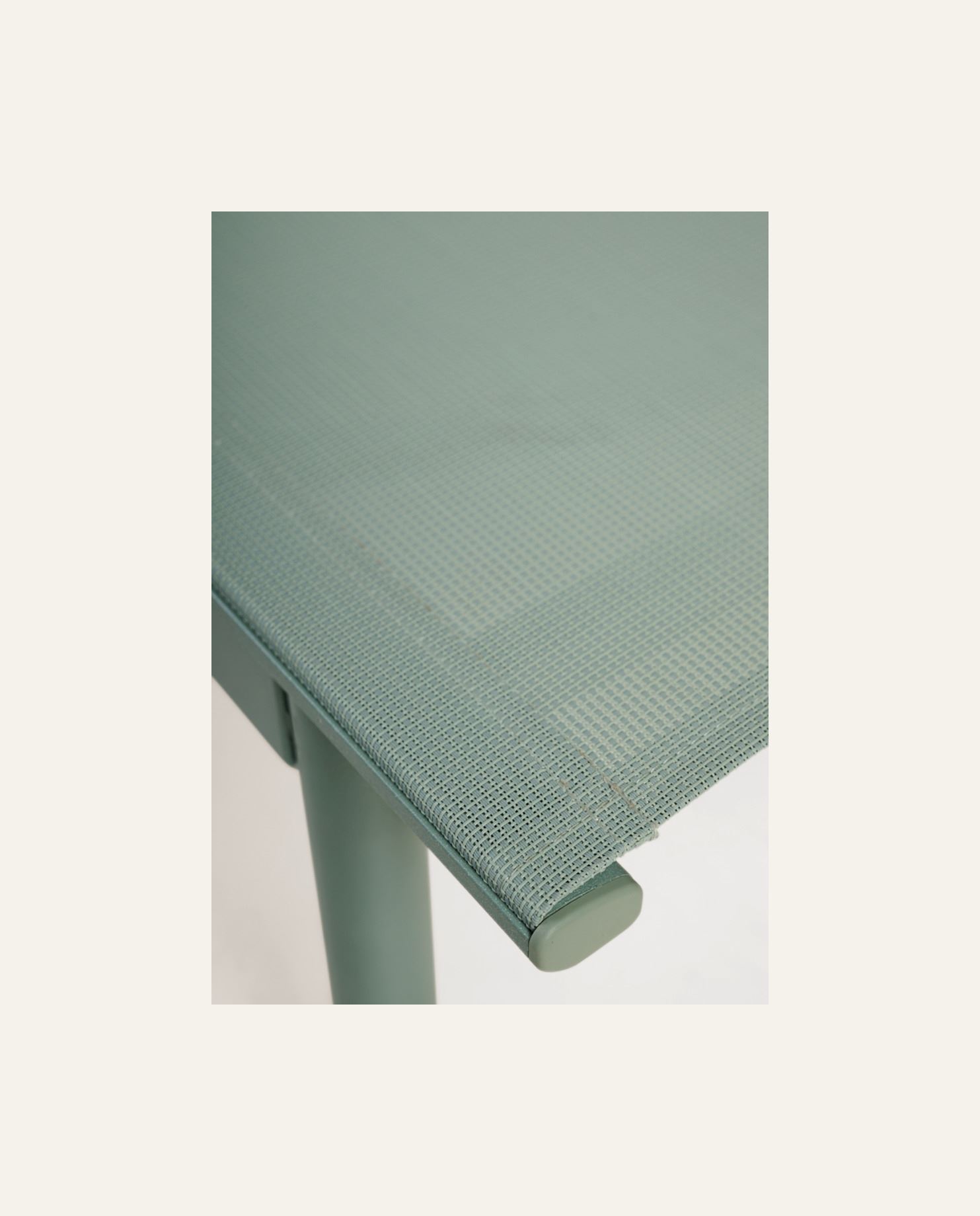 Solseng grågrønn - 5